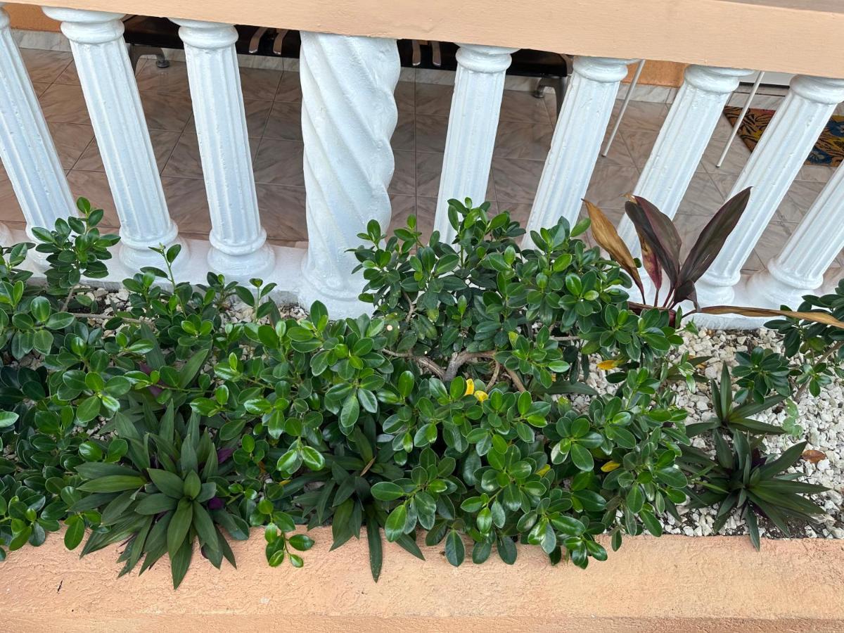 Remarkable 1-Bed Apartment In Montego Bay Buitenkant foto