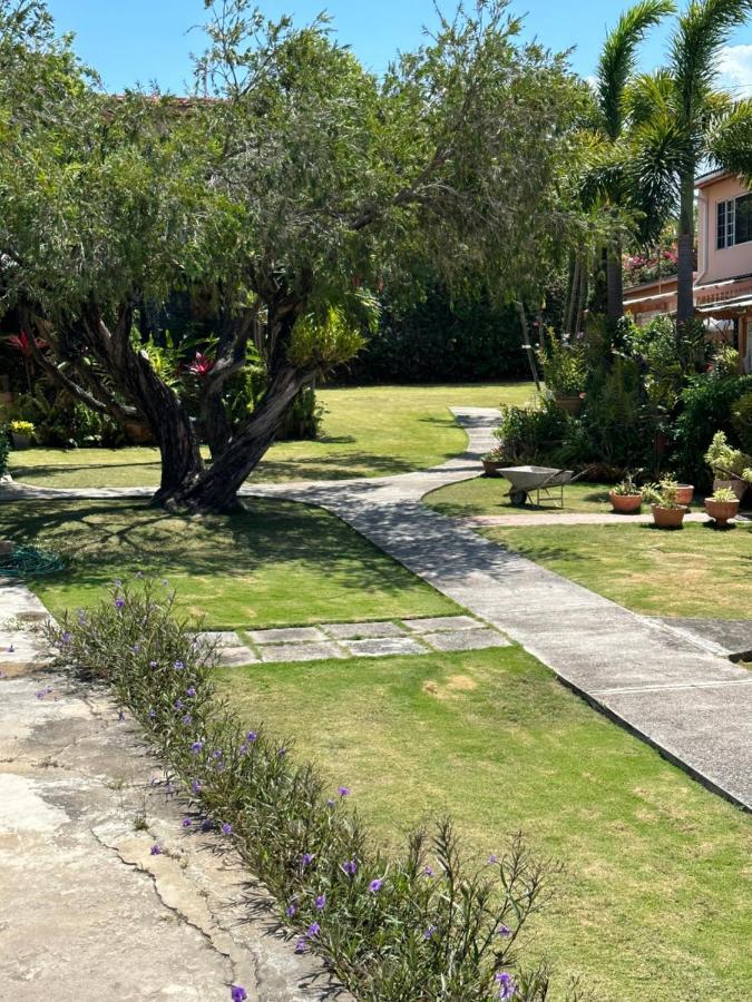 Remarkable 1-Bed Apartment In Montego Bay Buitenkant foto